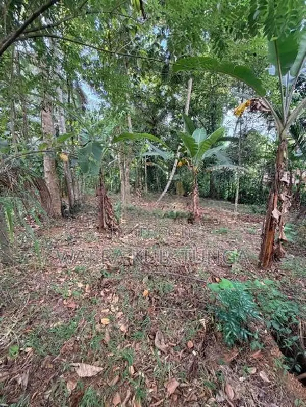 Beautiful Residential Land for Sale – Polgahawela