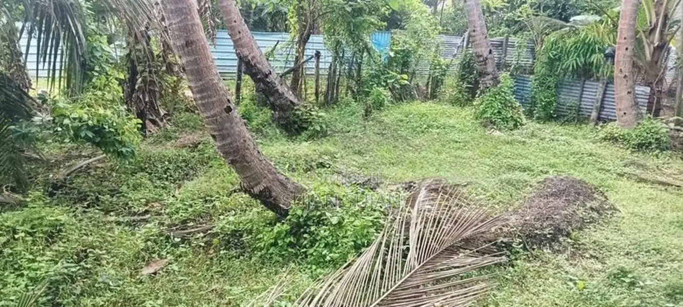 Land Sale Mutur
