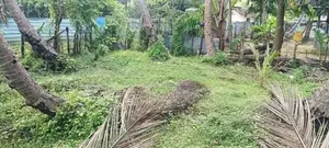 Land Sale Mutur