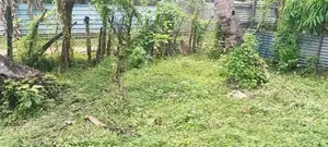 Land Sale Mutur
