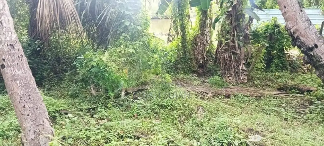 Land Sale Mutur