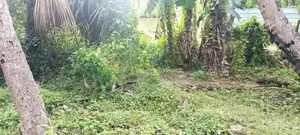 Land Sale Mutur