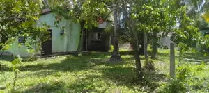 23 Perch Land for Sale Kadirana,negombo