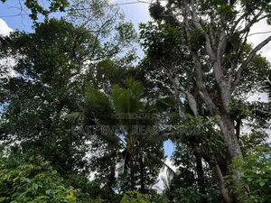 Land for sale in Hokandara