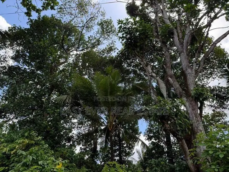 Land for sale in Hokandara