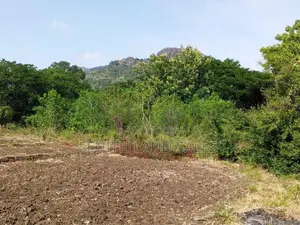 දඹුල්ල අවටින් අක්කර 1ක් ව්කිණිමට