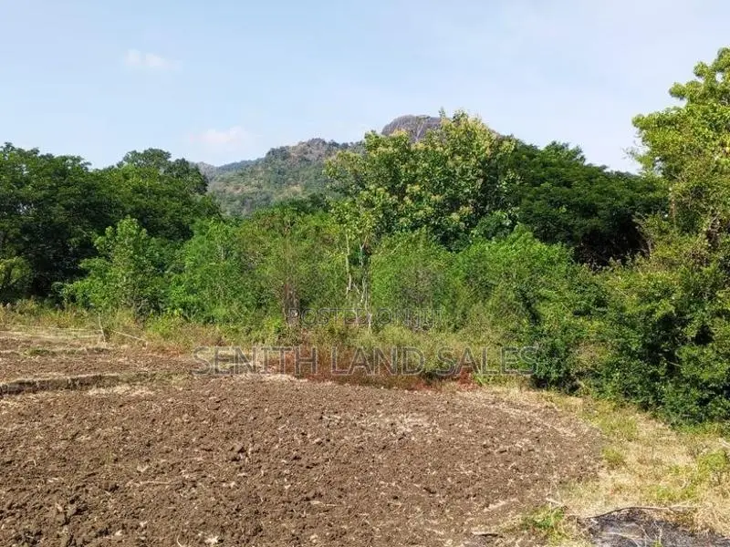 දඹුල්ල අවටින් අක්කර 1ක් ව්කිණිමට