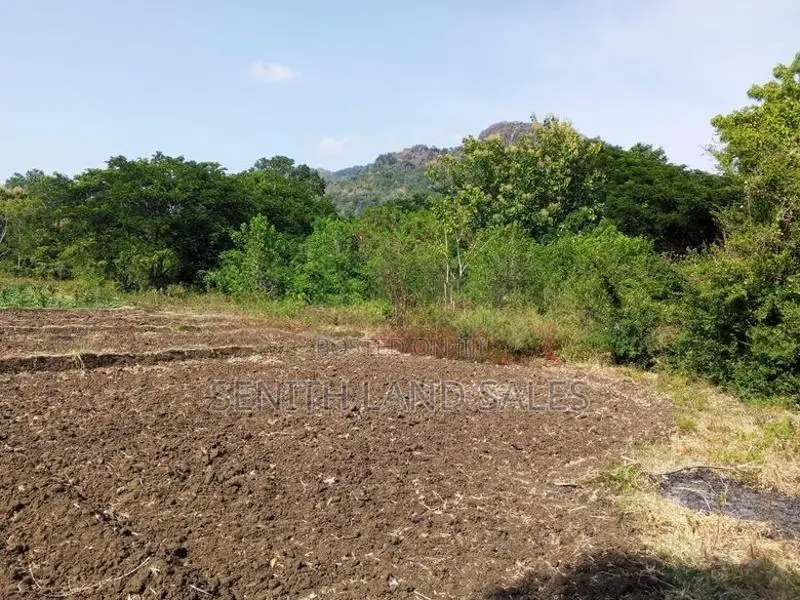 දඹුල්ල අවටින් අක්කර 1ක් ව්කිණිමට