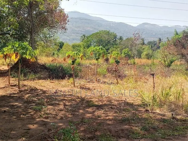 දඹුල්ල අවටින් අක්කර 1ක් ව්කිණිමට