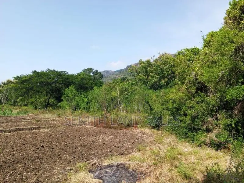 දඹුල්ල අවටින් අක්කර 1ක් ව්කිණිමට