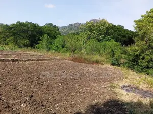 දඹුල්ල අවටින් අක්කර 1ක් ව්කිණිමට