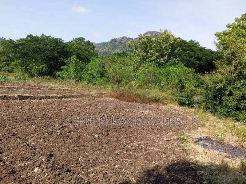 දඹුල්ල අවටින් අක්කර 1ක් ව්කිණිමට
