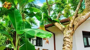 Land with a house for Sale in Polgasowita (SSPL-488)