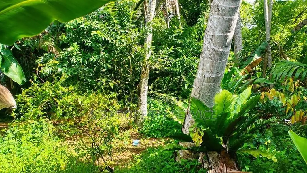 Land with a house for Sale in Polgasowita (SSPL-488)