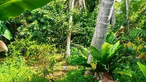 Land with a house for Sale in Polgasowita (SSPL-488)