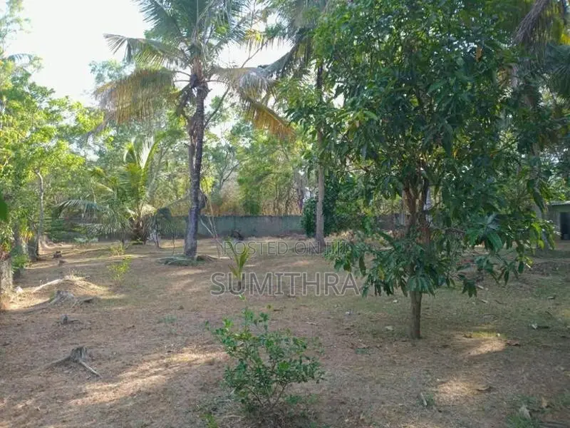 Land With House For Sale – Anuradhapura