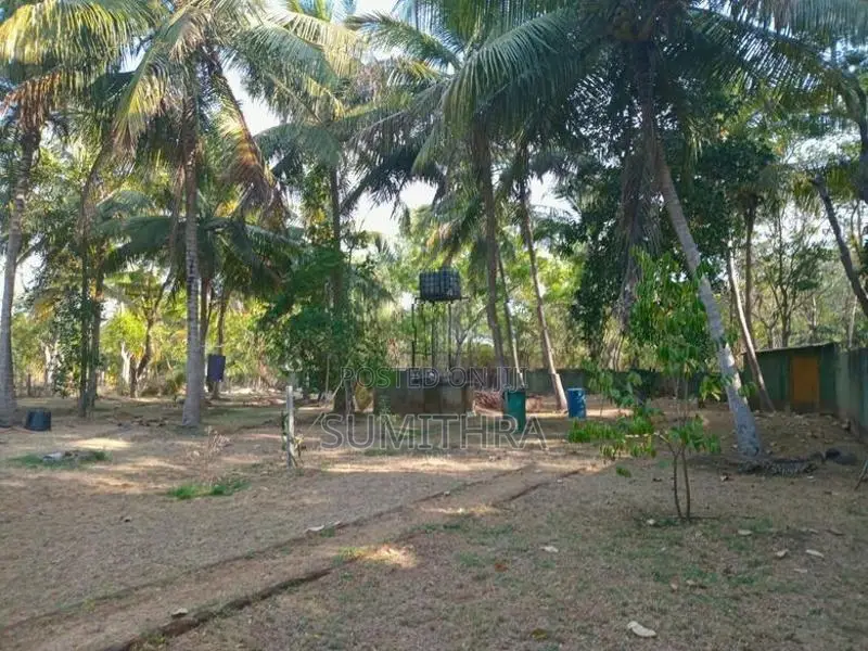 Land With House For Sale – Anuradhapura
