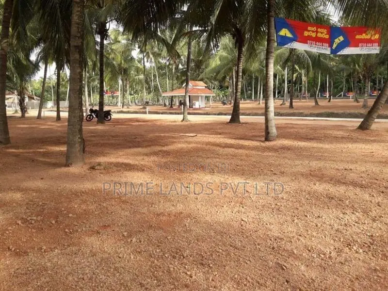 වාරියපොල අනුරාධපුර ප්‍රධාන පාරෙන් ඉඩමක් විකිණීමට