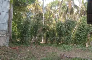 පදිංචිය සදහා සුසුදුසු බිම් කොටස් කීපයක් විකිණීමට Monaragala