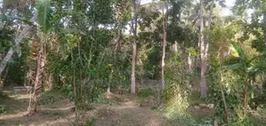පදිංචිය සදහා සුසුදුසු බිම් කොටස් කීපයක් විකිණීමට Monaragala