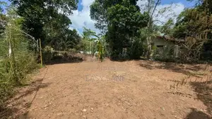ඒකල නගරයෙන් වටිනා ඉඩමක් විකිණීමට