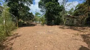 ඒකල නගරයෙන් වටිනා ඉඩමක් විකිණීමට