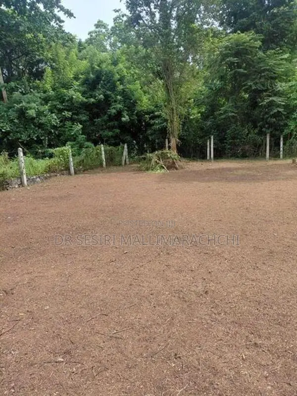 Panadura Land for Sale
