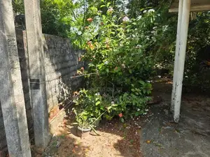 Land For Sale In Wattala