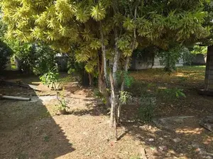 Land For Sale In Wattala