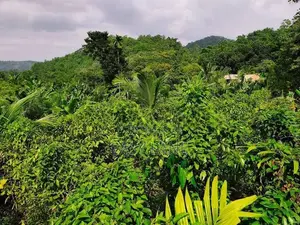 Land for Sale in Alawwa