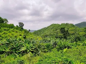Land for Sale in Alawwa