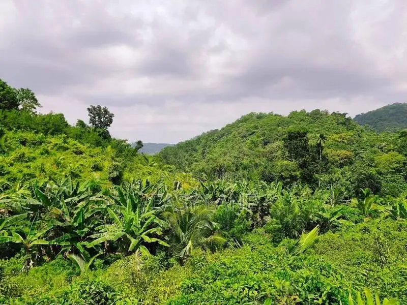 Land for Sale in Alawwa