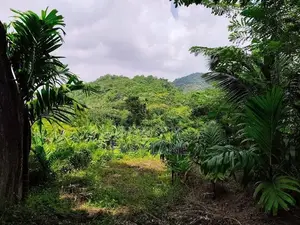 Land for Sale in Alawwa