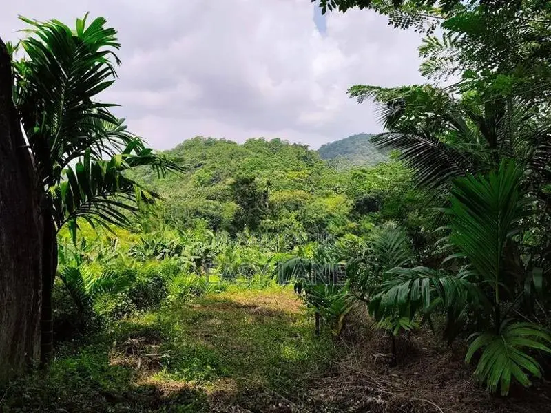 Land for Sale in Alawwa