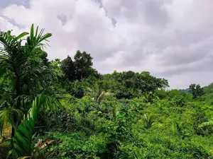 Land for Sale in Alawwa