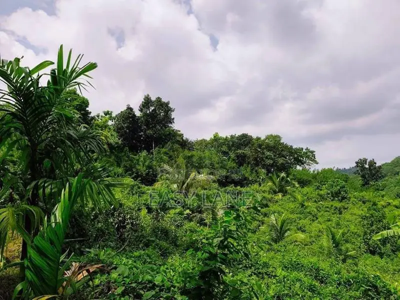 Land for Sale in Alawwa