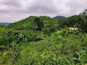 Land for Sale in Alawwa