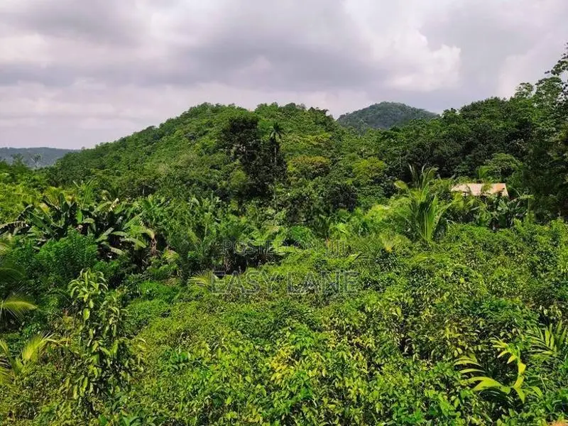 Land for Sale in Alawwa
