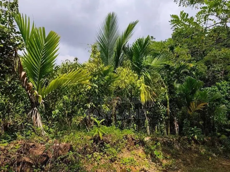 Land for Sale in Alawwa