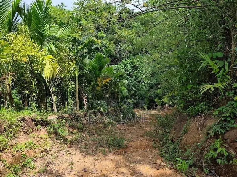 Land for Sale in Alawwa