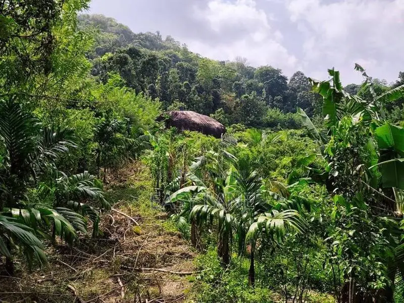 Land for Sale in Alawwa