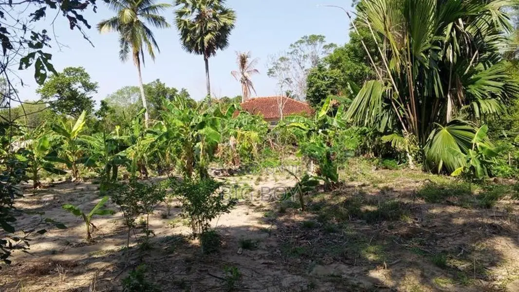 සියඹලාණ්ඩුව - පොතුවිල් ප්‍රධාන මාර්ගයෙන්ම අගනා ඉඩමක් විකිණීමට