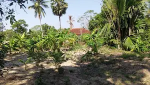 සියඹලාණ්ඩුව - පොතුවිල් ප්‍රධාන මාර්ගයෙන්ම අගනා ඉඩමක් විකිණීමට