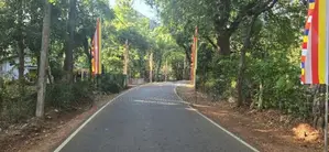 දඹුල්ලෙන් අනර්ග ඉඩමක් විකිණීමට