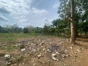 දඹුල්ලෙන් අනර්ග ඉඩමක් විකිණීමට