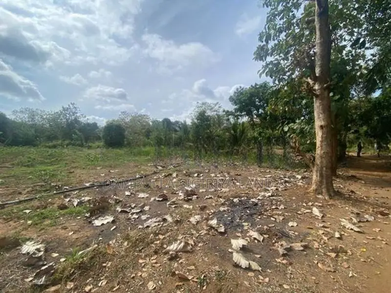 දඹුල්ලෙන් අනර්ග ඉඩමක් විකිණීමට