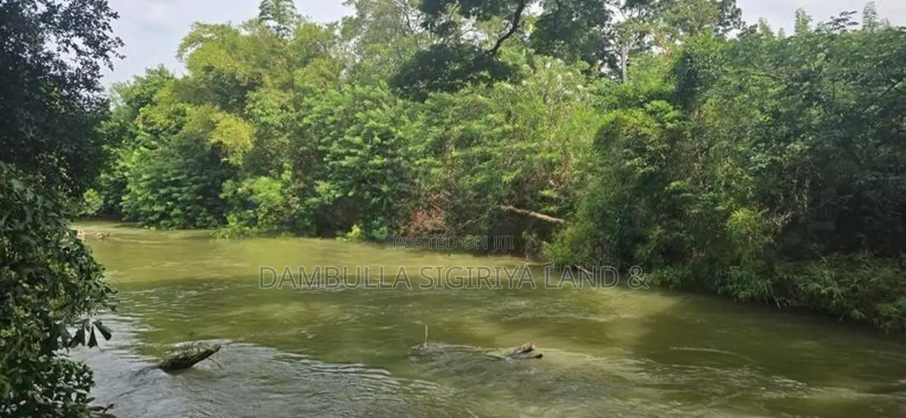 දඹුල්ලෙන් වටිනා ඉඩමක් විකිණීමට - Land for Sale in Dambulla