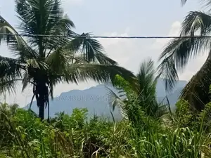 Land For Sale In Dambulla - දඹුල්ලෙන් අනර්ග ඉඩමක් විකිණීමට
