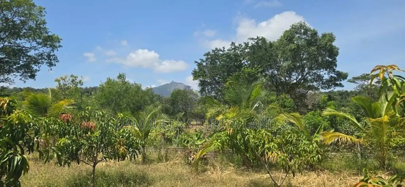 Land For Sale In Dambulla - දඹුල්ලෙන් අනර්ග ඉඩමක් විකිණීමට