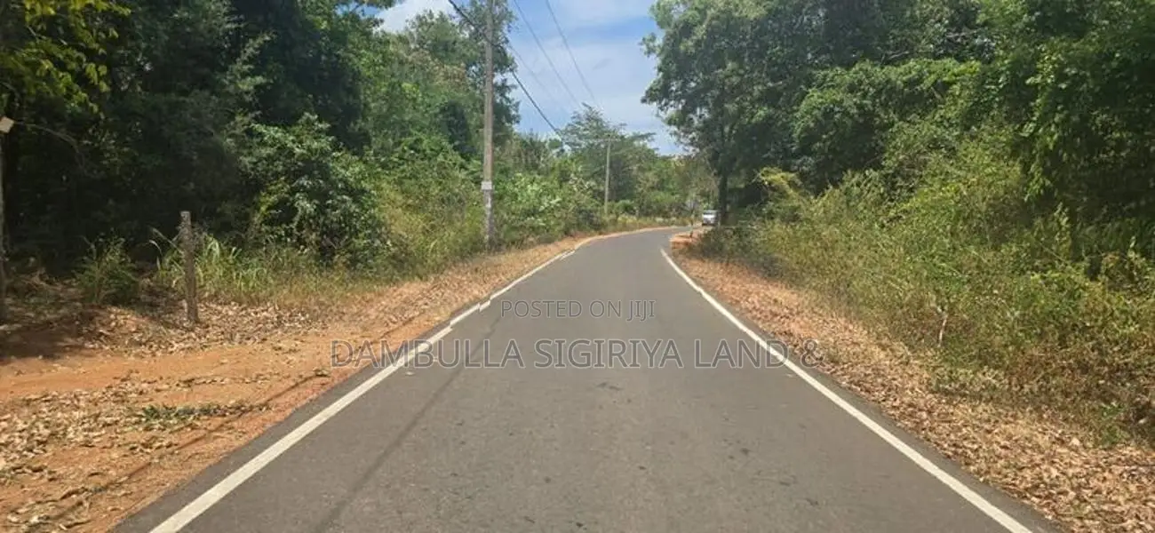 Land For Sale in Sigiriya - සීගිරියෙන් ඉඩමක් විකිණීමට